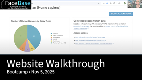 Website Walkthrough